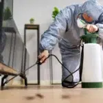 Pest Control in Nepal – Protecting Your Home and Office