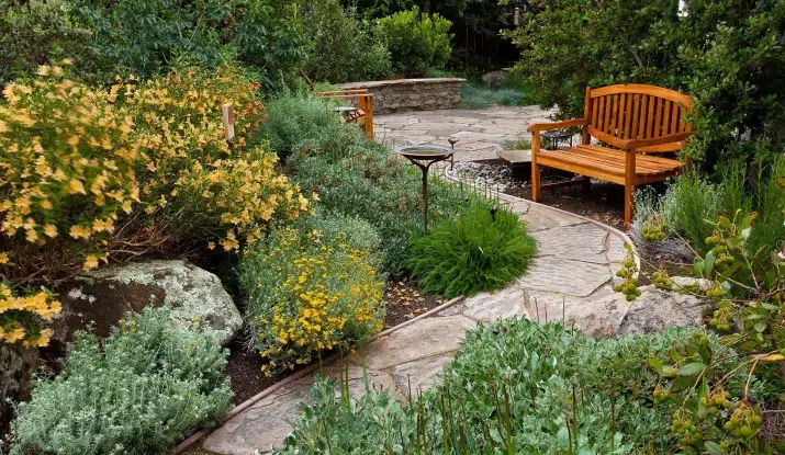 Beautiful low-maintenance native plant landscaping in Nepal with Khasi Kanda grass, Lapsi tree, and Dhurseli shrubs in a Kathmandu home garden